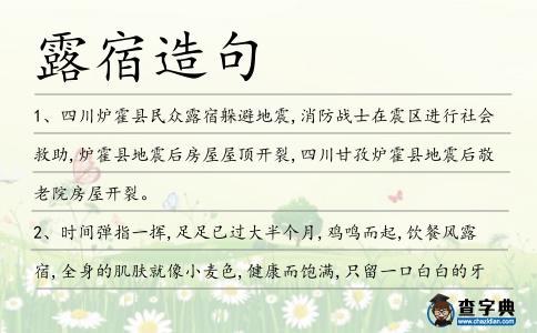 露宿造句