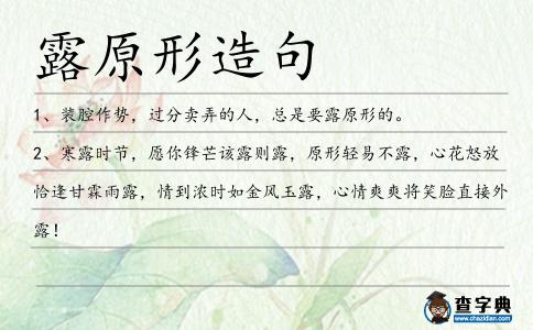 露原形造句