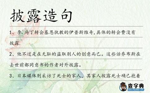 披露造句