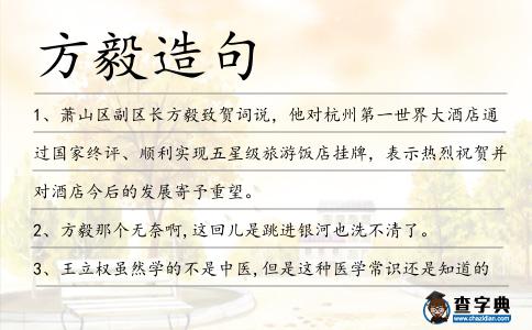方毅造句