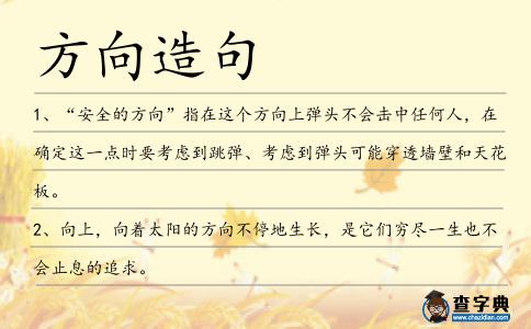 方向造句