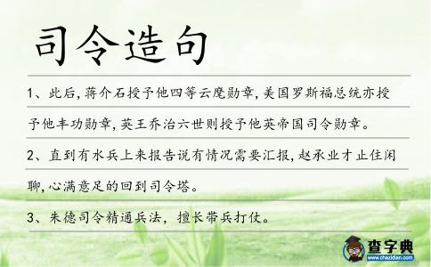 司令造句
