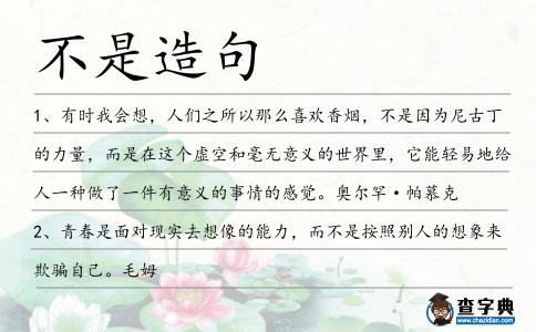 不是造句