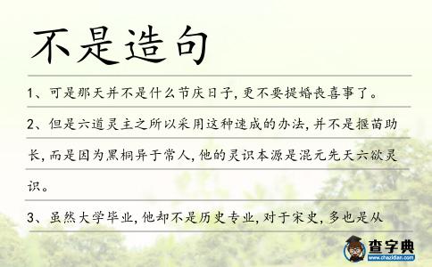 不是造句