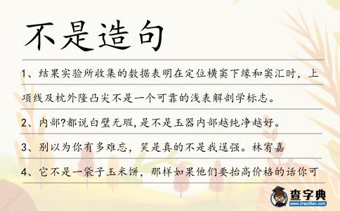不是造句