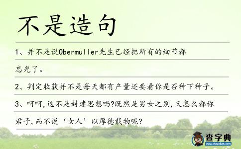 不是造句