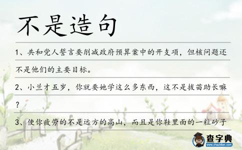 不是造句