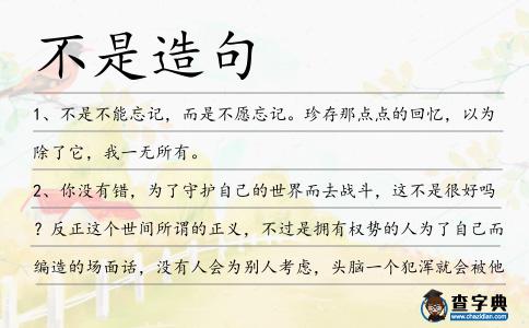不是造句