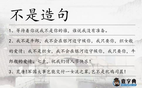不是造句