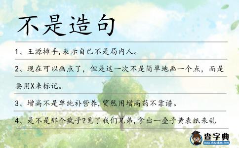 不是造句