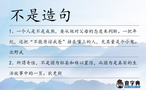 不是造句