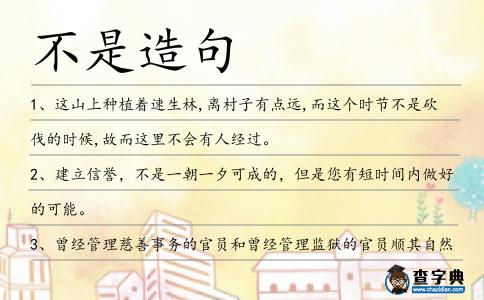 不是造句