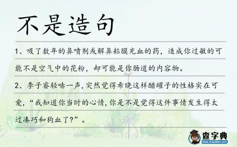不是造句