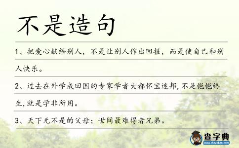 不是造句