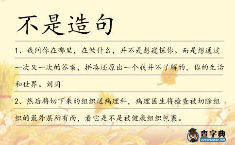 不是造句