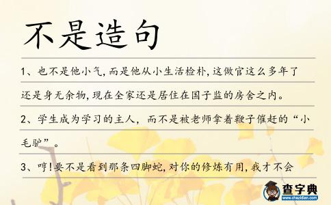 不是造句