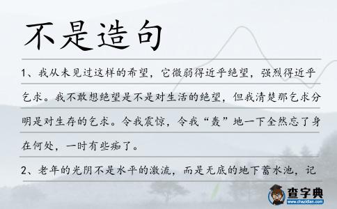 不是造句