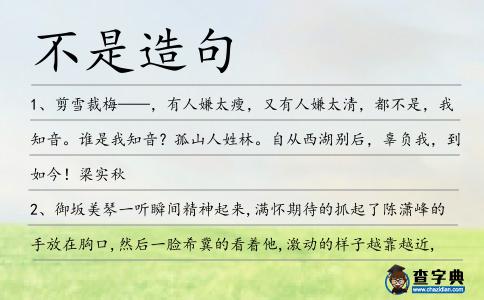 不是造句