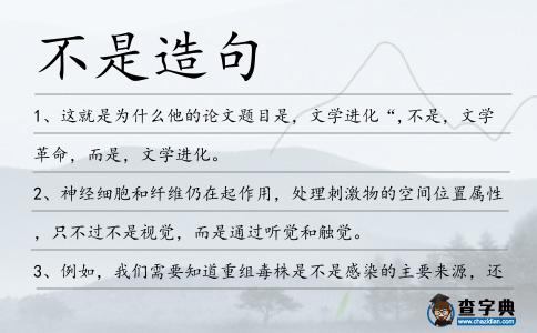 不是造句