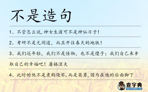 不是造句