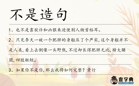 不是造句