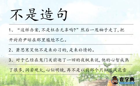 不是造句
