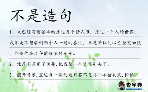 不是造句