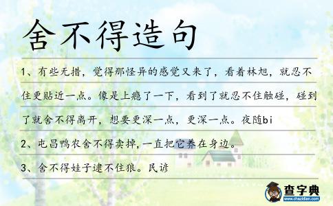 舍不得造句