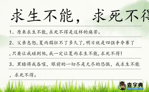 求生不能，求死不得造句