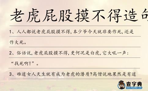 老虎屁股摸不得造句