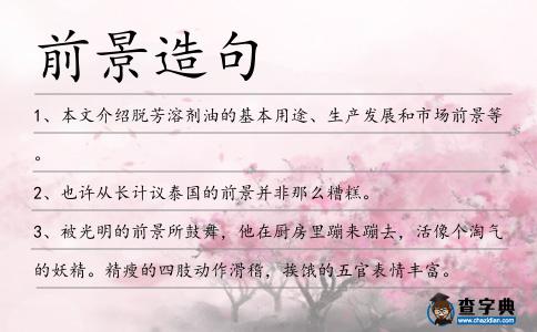 前景造句