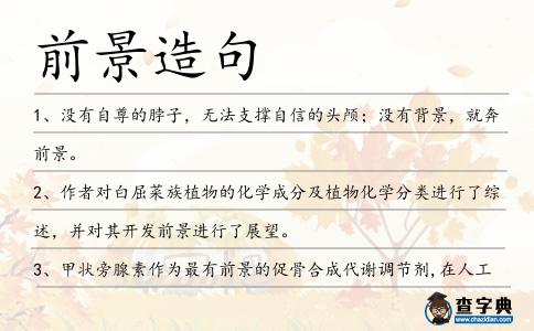 前景造句