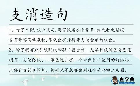 支消造句