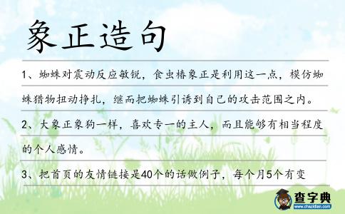 象正造句