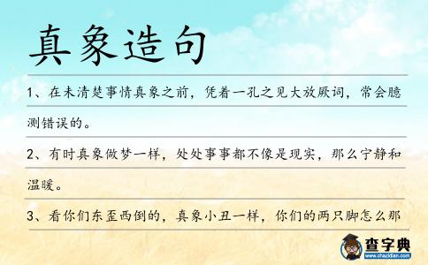 真象造句