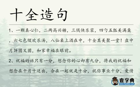 十全造句