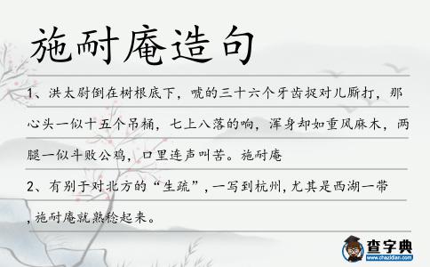 施耐庵造句