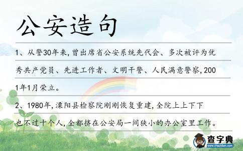 公安造句