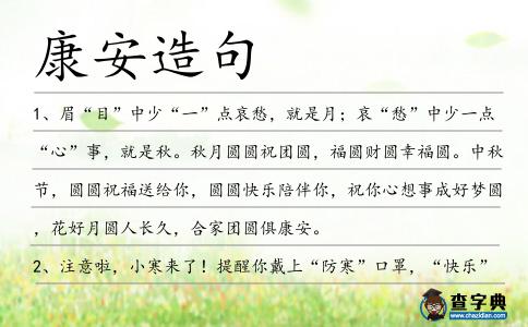 康安造句