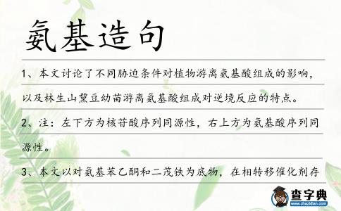 氨基造句