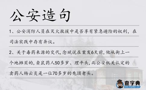 公安造句