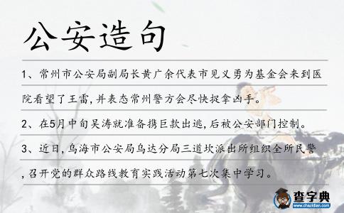 公安造句