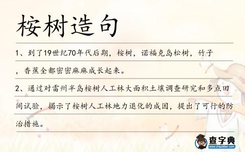 桉樹造句