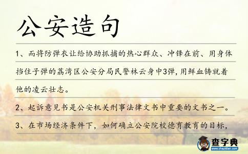 公安造句
