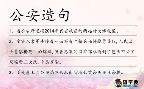 公安造句