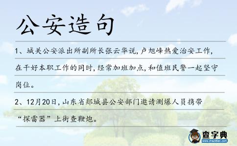 公安造句