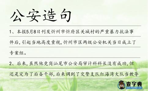 公安造句