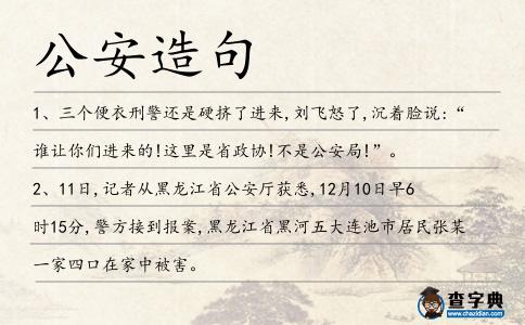 公安造句