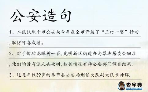 公安造句