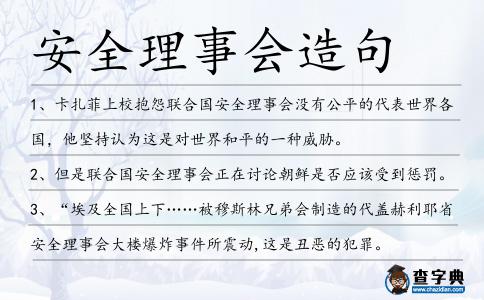 安全理事會造句